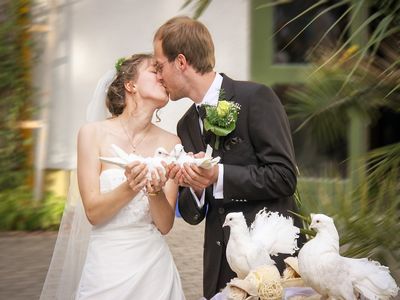 golubovi za svadbe krštenja proslave događaje beli golub proslava