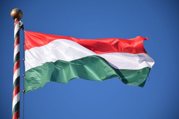 Privatnin casovi madjarskog jezika za pocetnike ili napredni nivo priprema za preuzimanje drzavljanstva profesor madjarskog nastavnik madjarskog online casovi